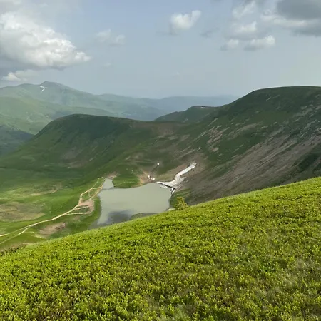 Ялинка-3